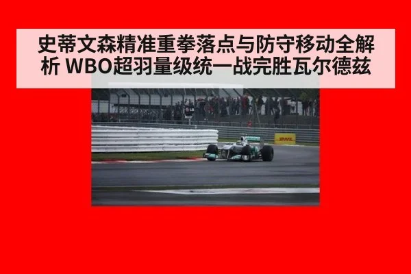 史蒂文森精准重拳落点与防守移动全解析 WBO超羽量级统一战完胜瓦尔德兹